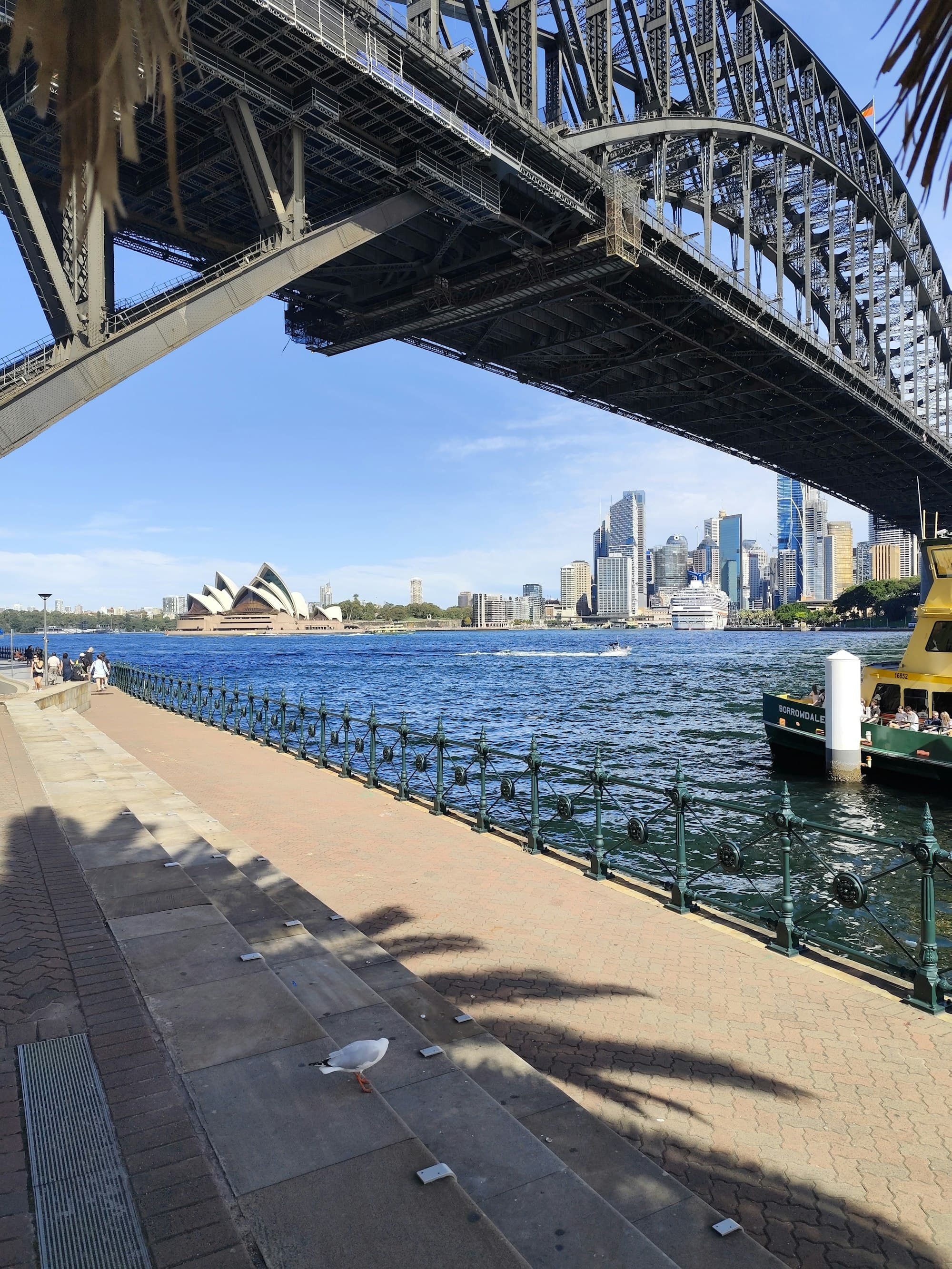 Sydney Harbour — the Opera House, Harbour Bridge and city skyline Sydney Harbour — the Opera House, Harbour Bridge and city skyline